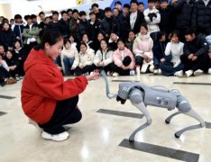 临展区的展现区域